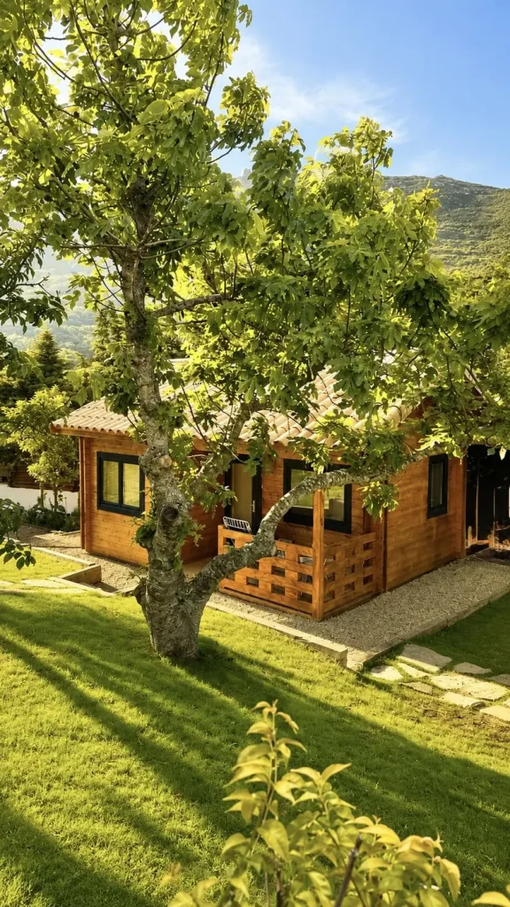 Cabane